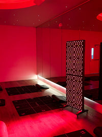 The Max Panel